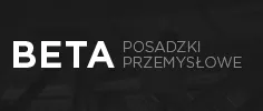 Strona www Posadzka Przemysłowa Podkarpacie Beta Tech