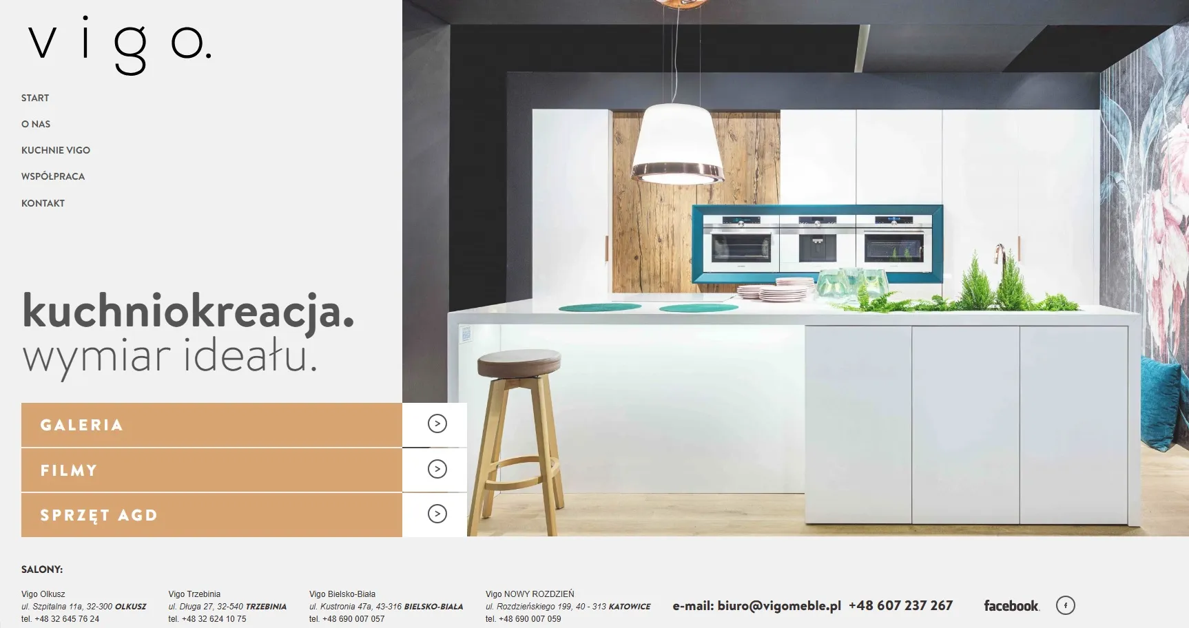 Strona www Meble Vigor